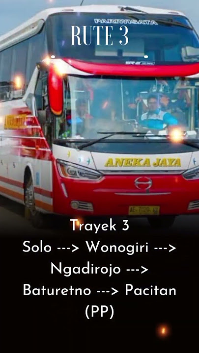 Trayek Bus Aneka Jaya #shorts