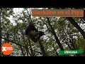 El SLACKLINE mas EXTREMO de toda la Patagonia Argentina🤸 TIRANDO TRUCOS con Ushuaia Slackline 🐵