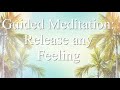 Release any Emotion: Guided Meditation.