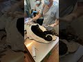 Howler Monkey Baby Pulled From Dead Mother's Arms
