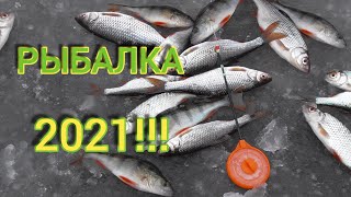 ЧТО ПРИНЕСЁТ НАМ 2021 ГОД? Рыбалка на жерлицы! Зимняя рыбалка в Беларуси.