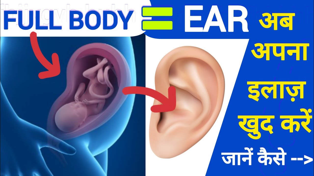 Auriculotherapy Easy Healing Acupressure Therapy YouTube