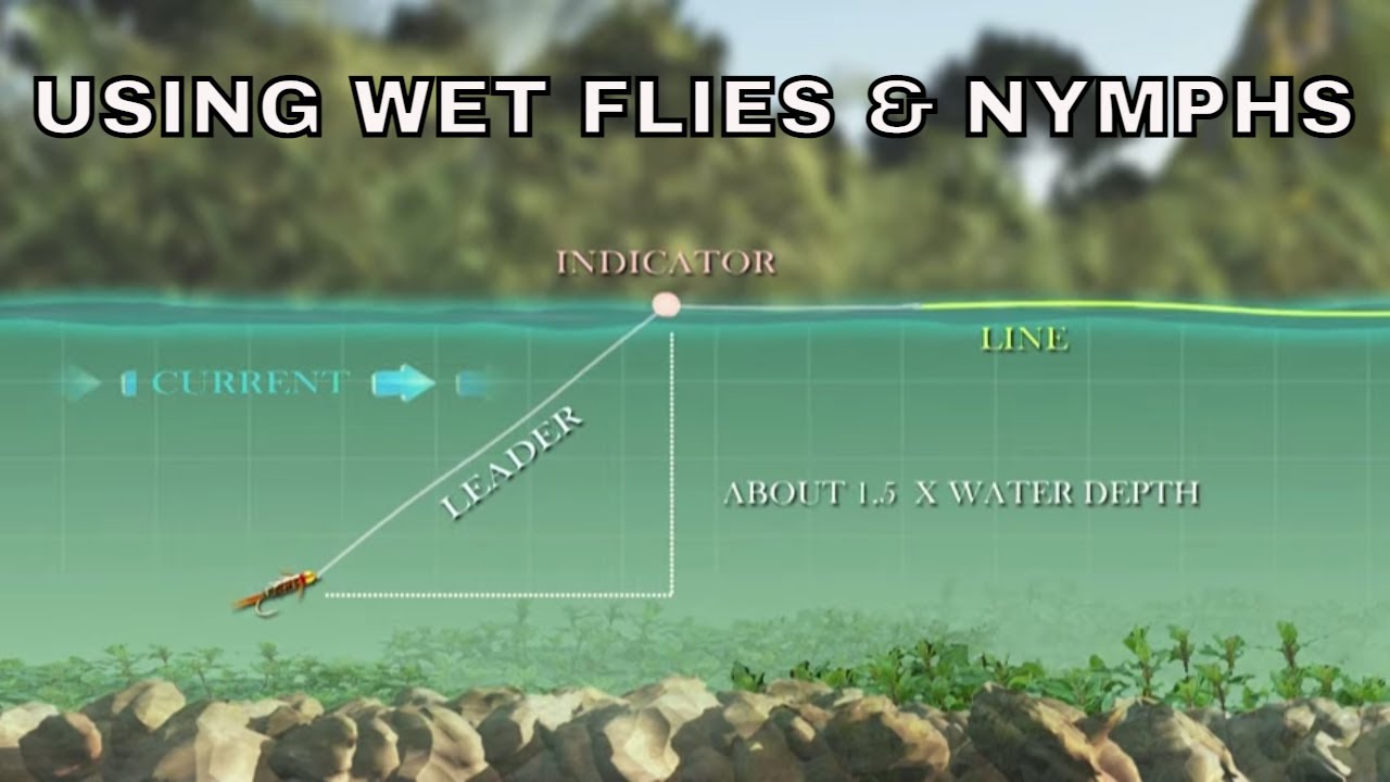 Using Wet Flies & Nymphs  How To with Tom Rosenbauer 