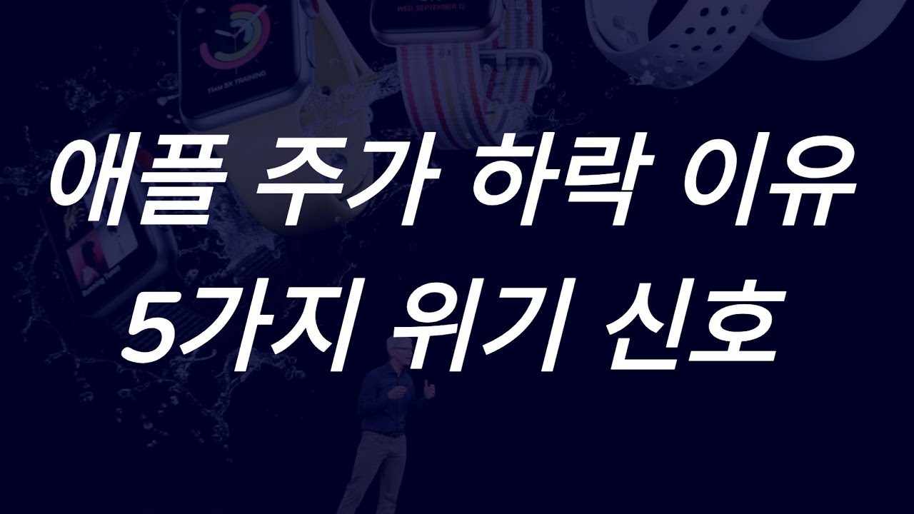 애플 주가 하락의 진짜 이유? 2025년 위기의 5가지 신호 - YouTube