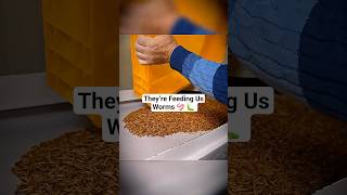 They’re Putting BUGS in Your Food… and It’s Legal 😳🪳