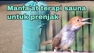 Mengenal 4 metode terapi sauna dan manfa