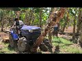 Farmtrac  atom 26hp 4wd banana tree field in swan 4 feet rotavator