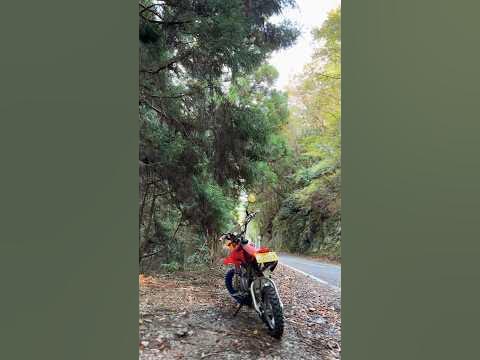 ホンダ crf50 京都府相楽郡和束町 犬打峠 京都府道62号 宇治木屋線 YouTube