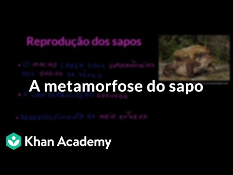 Vídeo: Implementando Uma Estratégia De Coleta De Vetores Comunitários Usando O Xenomonitoring Para O Fim Do Jogo Da Eliminação Da Filariose Linfática