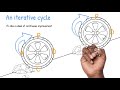 Lean concepts explained  the pdca cycle in continuous improvement