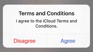 When You Disagree To The Terms & Conditions...