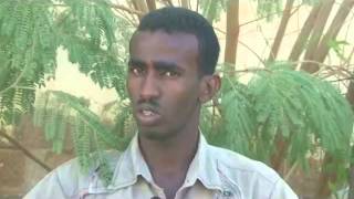 Ahmed Mohamed Ali - Editor of Radio Voice of Peace screenshot 5