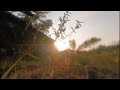 Vlog 98