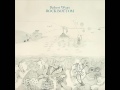 Robert Wyatt - Sea Song