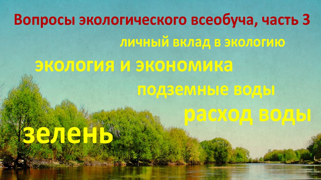 Вопросы по экологии. Вопросы про экологию. Вопросы экологической безопасности на транспорте. Личный вклад экологи. 3 вопроса по экологии