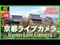 🔴🎥【LIVE】京都ライブカメラ 東本願寺 (KYOTO JAPAN LIVE CAMERA) 森信三郎商舗から生中継 即時影像 livecam #nhk紅白歌合戦 #Ado #聖地