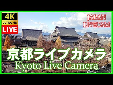 🔴🎥【LIVE】京都ライブカメラ 東本願寺 (KYOTO JAPAN LIVE CAMERA) 森信三郎商舗から生中継 即時影像 livecam　#nhk紅白歌合戦  #Ado #聖地