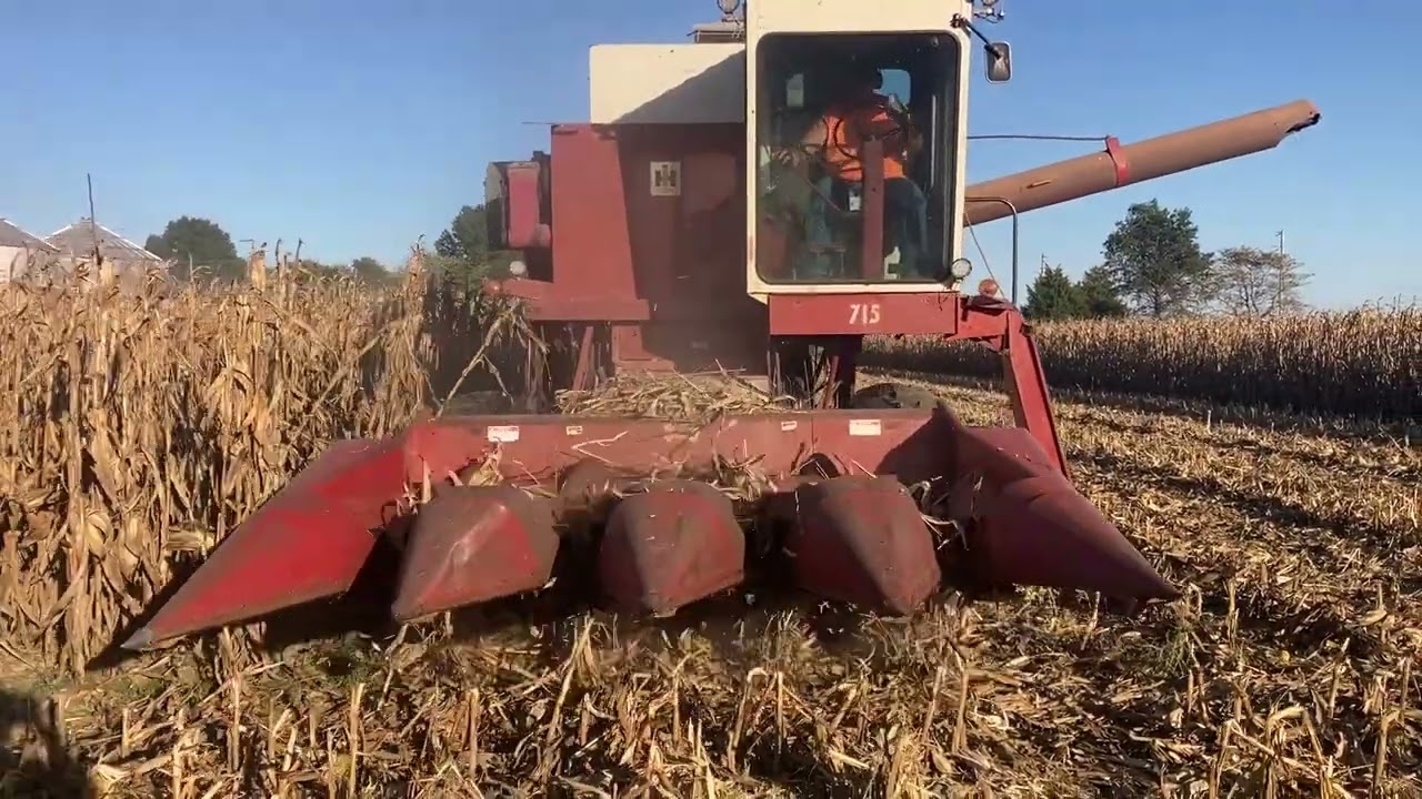 Corn Harvest 2024 IH 715 Combine Bicknell, IN