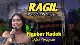 NGOBOR KODOK - KENDANG RAMPAK - RAGIL PONGDUT