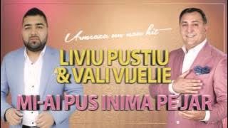 VALI VIJELIE si LIVIU PUSTIU - MI-AI PUS INIMA PE JAR (AUDIO OFICIAL 2015)