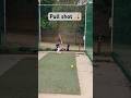 Pull shot 🏏 #pullshot #rohitsharma #shreyasiyer #viratkohli #shubmangill #indvsafg