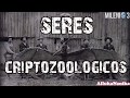 Milenio 3 - Seres Criptozológicos