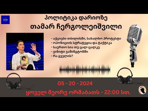 პოლიტიკა დარიოზე - თამარ ჩერგოლეიშვილი