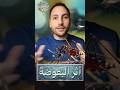 البعوض غير شكل الكوكب حيوانات معلومات الناموس