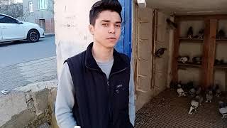 Sultanbeyli Gi Den Ali An Kuşlar