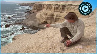Inside the Pacific Ring of Fire Alaska s 1964 Quake to Chile s Chaiten