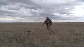 How To Have Success Calling Coyotes in Windy Conditions! screenshot 4