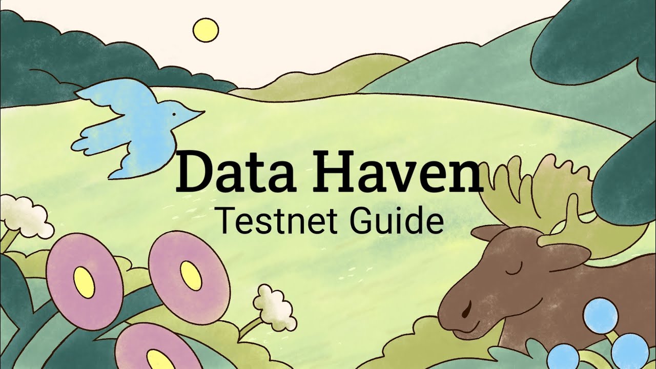 Руководство по тестовой сети DataHaven || Как создать тестовую сеть Data Haven