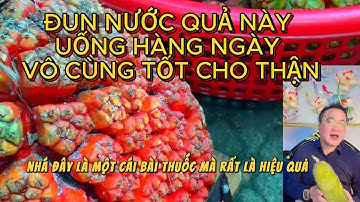Cách Dùng Quả Dứa Rừng Chữa Sỏi Thận Hiệu Quả Tại Nhà