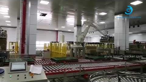 Box case carton robot hand palletizing machine palletizier line palletizing video