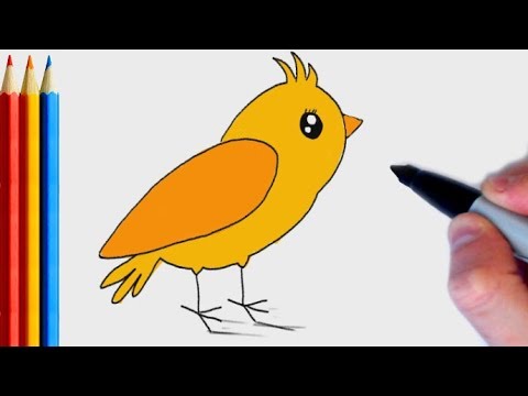 (fast-version) How to Draw Canary Simple | Step by Step Tutorial For ...