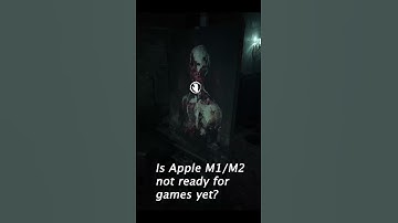Layers of Fear on MacBook: Graphic Bug Report