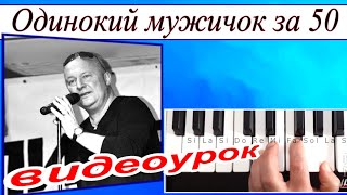 «Одинокий мужичок за 50» Д.Василевский~Урок для синтезатора~Текст аккорды Am~скачать DEMO Korg style