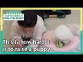 This is how hard it is to raise a puppy (Stars' Top Recipe at Fun-Staurant) | KBS WORLD TV 210216
