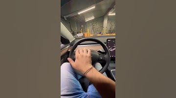 Tesla horn replaced with Tim Allen’s Home Improvement grunt