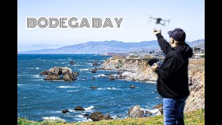 Arched Rock Bodega Bay, CA | Spring 2021 Bodega Bay Spring 2021