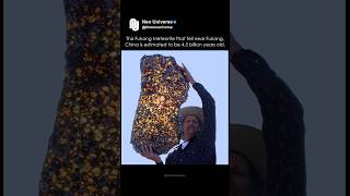 4.5 Billion Years, In One Stone