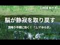 脳から耳鳴りを消す!眠れる!「1/fゆらぎ」で自律神経を整え脳が静寂を取り戻す