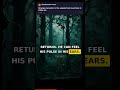Chilling Sounds in the Dark Woods of Ellijay, GA | Reddit Stories