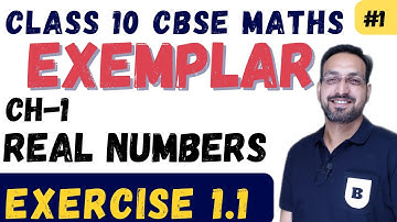 Class 10 Maths NCERT Exemplar Ex 1.1 Objective Solutions 2025-26 | Free & Detailed