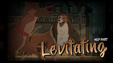 Levitating (MEP Part)