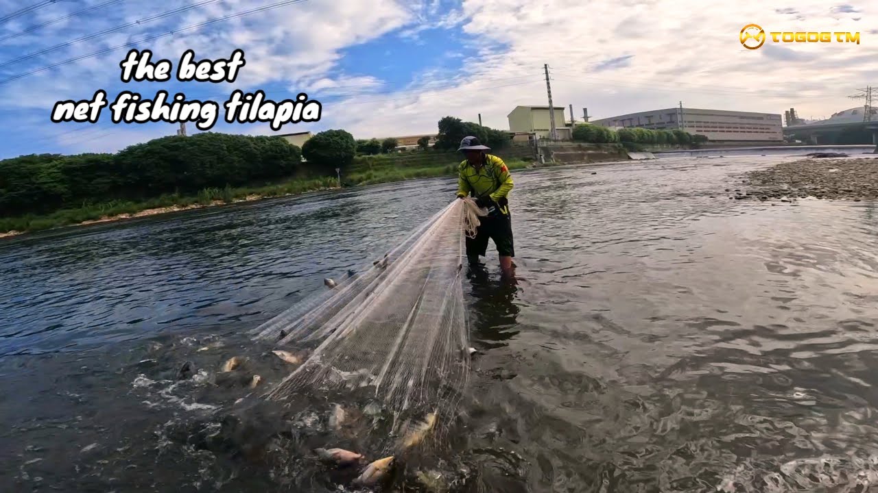 cuma sekali tebar sampai gak kuat narik jala..😱 the best net fishing ...