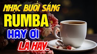 Nhạc Buổi Sáng Không Lời Hay Ơi Là Hay | Hòa Tấu Rumba Không Lời | Nhạc Phòng Trà Cafe 2024