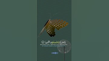 ‎تلاوت قرآن الكريم #قرآن_كريم #تلاوة #سورة #سبحان_الله #صباح_الخير #راحة_نفسية #رمضان #الله #محمد