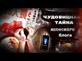 ЧТО СКРЫВАЕТСЯ за ЯПОНСКИМ кулинарным  блогом? Дело № 30|| Дело раскрыто.