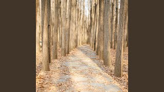 Download Lagu Pallata MP3